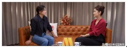 娱乐圈吃瓜二人组讲解